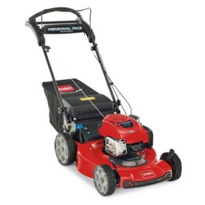 Toro Recycler Self-Propelled Mower 163cc Briggs & Stratton 7.25 TP (22") #21462